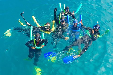 Glass-bottom Boat Tour With Whitehaven Beach - Accommodation Port Macquarie 1