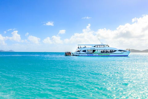 Whitehaven Beach And Daydream Island Cruise - Accommodation Port Macquarie 3