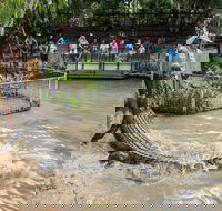 Hartley's Crocodile Adventures General Entry Ticket - Accommodation Port Macquarie