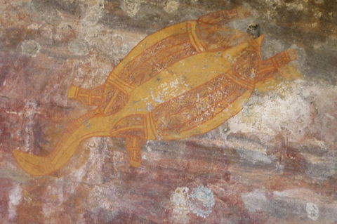Kakadu Full-Day Tour From Darwin With Lunch - Accommodation Port Macquarie 4