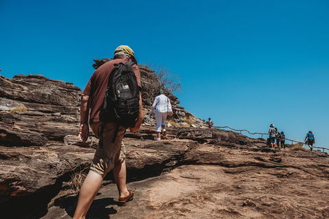Kakadu Full-Day Tour From Darwin With Lunch - Accommodation Port Macquarie 5
