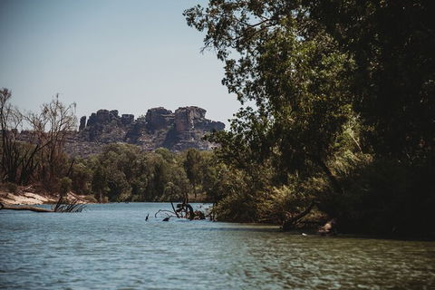Kakadu Full-Day Tour From Darwin With Lunch - Accommodation Port Macquarie 8