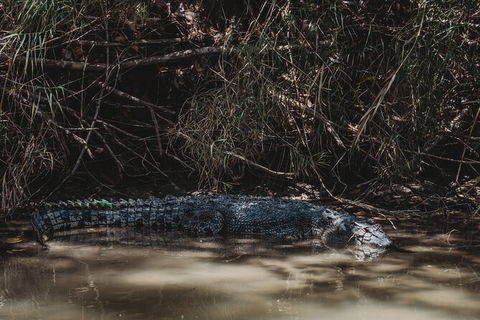 Kakadu Full-Day Tour From Darwin With Lunch - Accommodation Port Macquarie 13