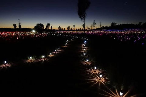 Uluru Field Of Light Sunrise Tour - Accommodation Port Macquarie 2