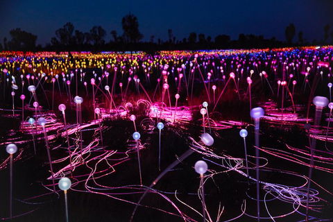 Uluru Field Of Light Sunrise Tour - Accommodation Port Macquarie 13