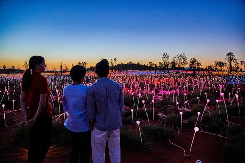 Uluru Field Of Light Sunrise Tour - Accommodation Port Macquarie 5