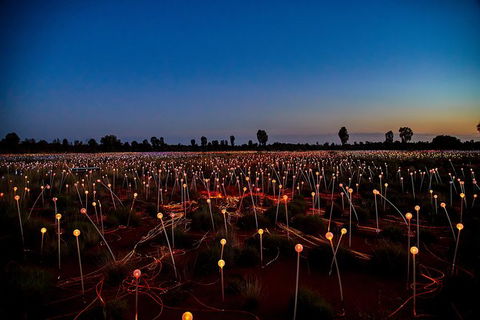 Uluru Field Of Light Sunrise Tour - Accommodation Port Macquarie 7