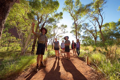 Uluru Small Group Tour Including Sunset - Accommodation Port Macquarie 5
