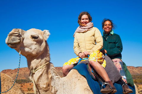 Alice Springs Camel Tour - Accommodation Port Macquarie 8
