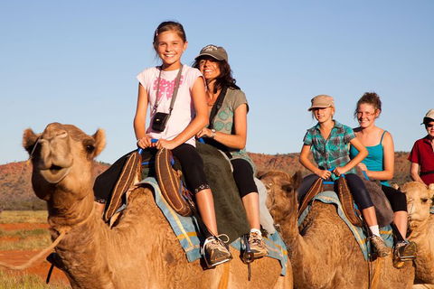 Alice Springs Camel Tour - Accommodation Port Macquarie 1