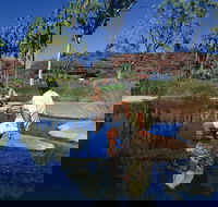 Palm Valley 4WD Tour - Accommodation Port Macquarie