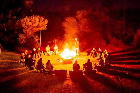 4-Day Red Centre Camping Safari From Alice Springs Or Ayers Rock Including Kings Canyon - Accommodation Port Macquarie 0