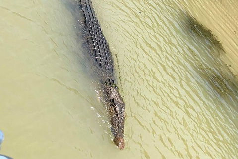 Kakadu National Park Scenic Flight & Cruise - Accommodation Port Macquarie 11
