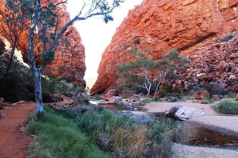 Half Day MacDonnell Ranges Small Group - Private Guided Tour - Accommodation Port Macquarie 0