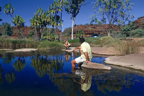 Palm Valley 4WD Day Tour - Accommodation Port Macquarie 3