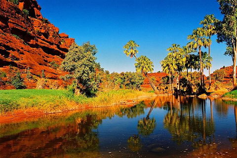 Palm Valley 4WD Day Tour - Accommodation Port Macquarie 1