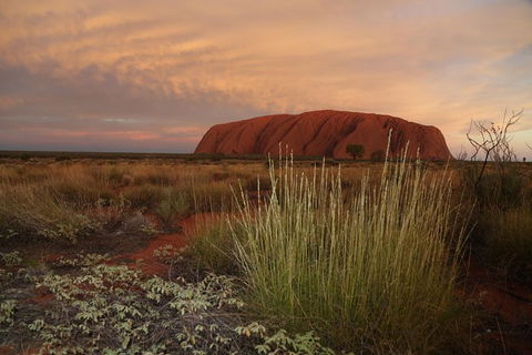 Coach Transfer From Kings Canyon Resort To Ayers Rock Resort - Accommodation Port Macquarie 7