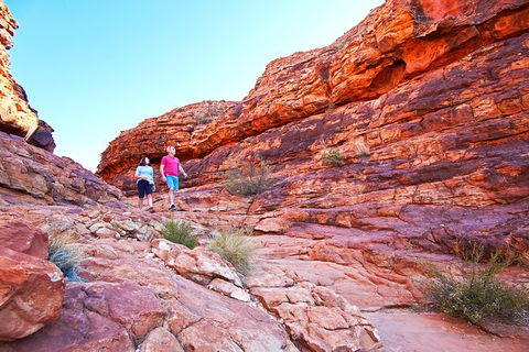 Coach Transfer From Kings Canyon Resort To Ayers Rock Resort - Accommodation Port Macquarie 6