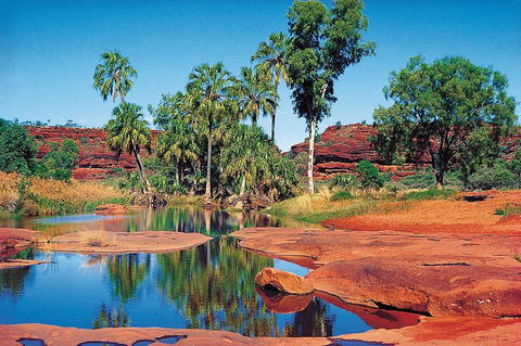 Palm Valley 4WD Tour From Alice Springs - Accommodation Port Macquarie 1