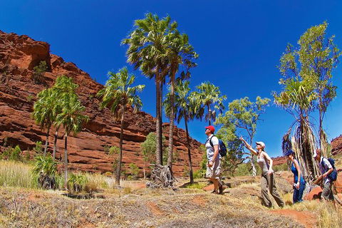 Palm Valley 4WD Tour From Alice Springs - Accommodation Port Macquarie 0