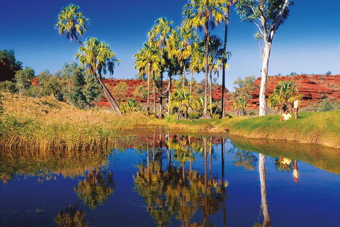 Palm Valley 4WD Tour From Alice Springs - Accommodation Port Macquarie 3