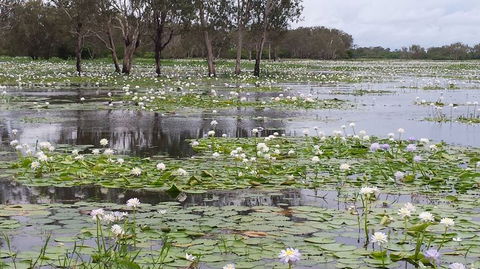 Kakadu, Nourlangie And Yellow Waters Tour From Darwin - Accommodation Port Macquarie 12