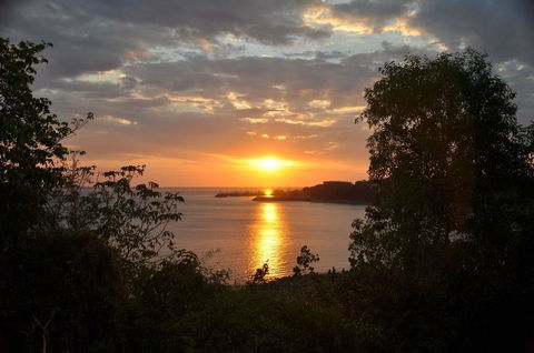 Kakadu, Nourlangie And Yellow Waters Tour From Darwin - Accommodation Port Macquarie 24
