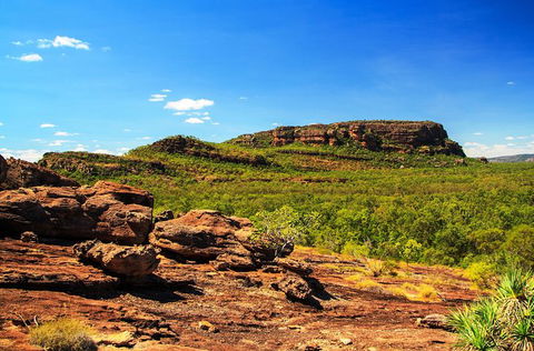 Kakadu, Nourlangie And Yellow Waters Tour From Darwin - Accommodation Port Macquarie 34