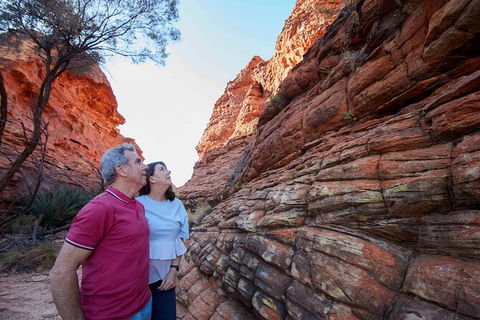 3-Day Alice Springs To Uluru (Ayers Rock) Via Kings Canyon Tour - Accommodation Port Macquarie 17