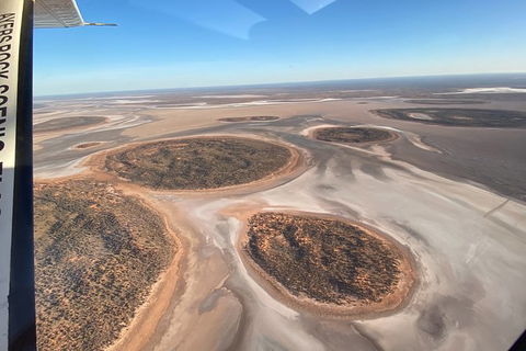 Scenic Flight: The Ultimate Outback Adventure - Accommodation Port Macquarie 8