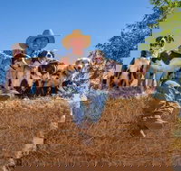 Skip-the-Line Katherine Outback Experience Show Ticket - Accommodation Port Macquarie