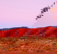 Best of Ayers Rock Sunset Uluru and Sunrise Kata Tjuta Small Group Tours - Accommodation Port Macquarie