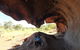 Overnight Uluru (Ayers Rock) Small-Group Camping Tour - thumb 5
