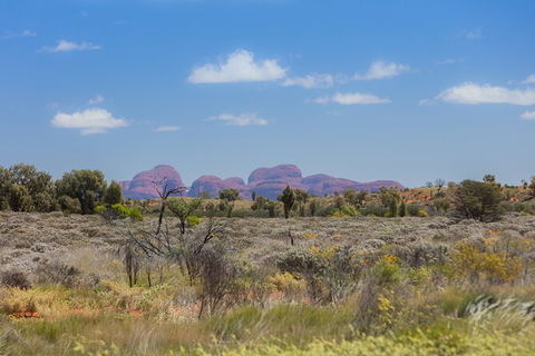 Overnight Uluru (Ayers Rock) Small-Group Camping Tour - Accommodation Port Macquarie 15