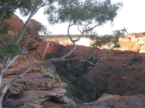 3-Day Uluru And Kings Canyon Camping Experience From Alice Springs Including Outback BBQ Dinner - Accommodation Port Macquarie 1