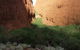 Kata Tjuta Sunrise And Valley Of The Winds Half-Day Trip - thumb 4