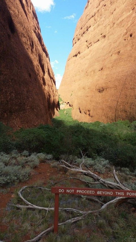 Kata Tjuta Sunrise And Valley Of The Winds Half-Day Trip - Accommodation Port Macquarie 4