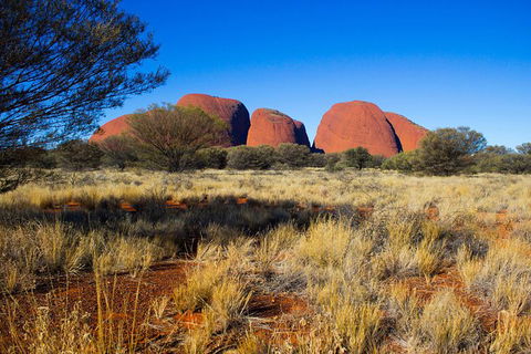 Kata Tjuta Sunrise And Valley Of The Winds Half-Day Trip - Accommodation Port Macquarie 11