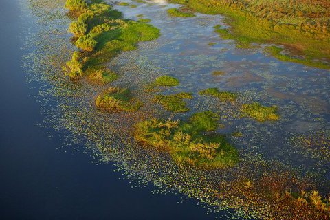Wildman Half-day Sunset Tour - Accommodation Port Macquarie 1