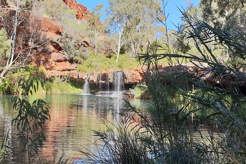 20 Day Darwin To Perth Adventure - Accommodation Port Macquarie 10