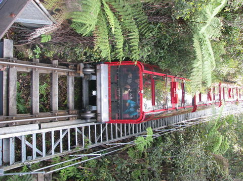 All Inclusive Blue Mountains Small-Group Day Trip From Sydney - Accommodation Port Macquarie 16