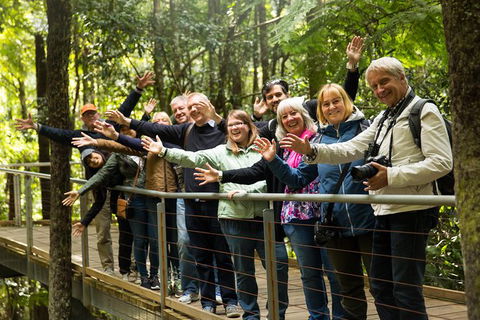 All Inclusive Blue Mountains Small-Group Day Trip From Sydney - Accommodation Port Macquarie 30