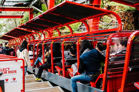 All-Inclusive Blue Mountains Day Trip With River Cruise - Accommodation Port Macquarie 7