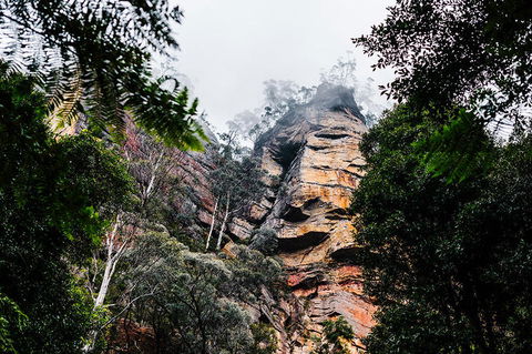 All-Inclusive Blue Mountains Day Trip With River Cruise - Accommodation Port Macquarie 3