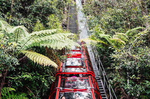 All-Inclusive Blue Mountains Day Trip With River Cruise - Accommodation Port Macquarie 6