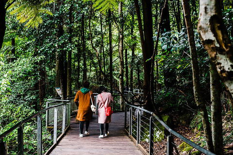 All-Inclusive Blue Mountains Day Trip With River Cruise - Accommodation Port Macquarie 10