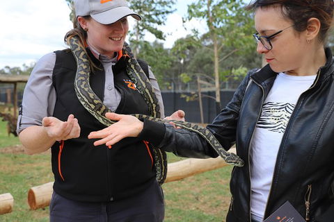 All-Inclusive Blue Mountains Day Trip With River Cruise - Accommodation Port Macquarie 37