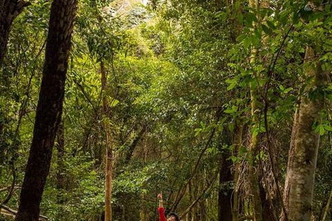 All-Inclusive Blue Mountains Day Trip With River Cruise - Accommodation Port Macquarie 26