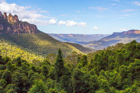 All-Inclusive Blue Mountains Day Trip With River Cruise - Accommodation Port Macquarie 28
