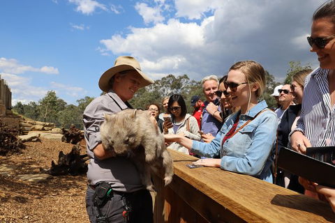 All-Inclusive Blue Mountains Day Trip With River Cruise - Accommodation Port Macquarie 27